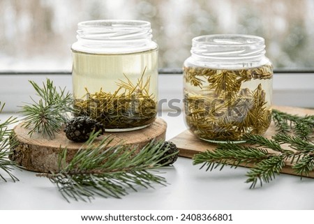 Making syrup of fresh pine needles and spruce needles. Glass jars with needles infused with water in home kitchen.