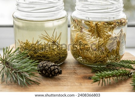 Making syrup of fresh pine needles and spruce needles. Glass jars with needles infused with water in home kitchen.