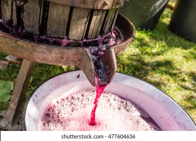 Making wine