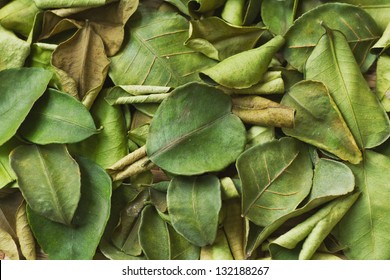 Makrut Lime Leaves, Dry Herbs