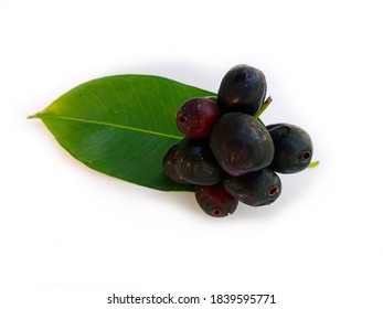 Malabar Plum, Java Plum, Black Plum Or Jambolan (Syzygium Cumini) Isolated On White