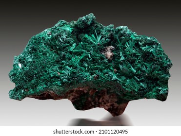 Malachite Mineral Specimen Stone Rock Geology Gem Crystal