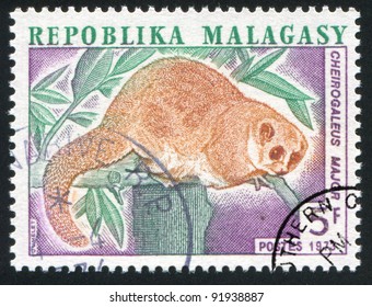 MALAGASY CIRCA 1973: Stamp Printed By Malagasy, Shows Greater Dwarf Lemur, Circa 1973