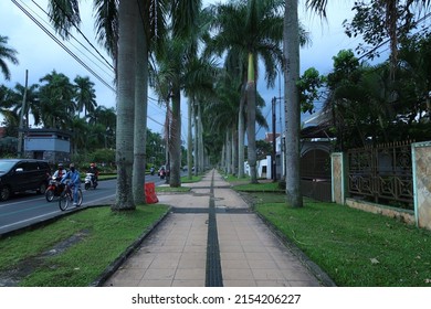 Malang, Indonesia - April 23 2022 : Idjen boulevard is a landmark of Malang city with it's large pedestrian walk under palm trees and old dutch architecture houses on the sides