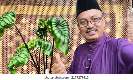 Malay Man With Colocasia Pharaoh Mask.  Colocasia Pharaoh Mask Is Aquatic Plant Close Up,colocasia Esculenta,tropical Plant In Rain Forest