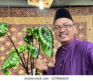 Malay Man Withcolocasia Pharaoh Mask.  Colocasia Pharaoh Mask Is Aquatic Plant Close Up,colocasia Esculenta,tropical Plant In Rain Forest