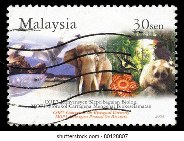 MALAYSIA - CIRCA 2004: A Stamp Printed In Malaysia Shows COP7 - Convention On Biological Diversity, MOP1 - Cartagena Protocol On Biosafety, Circa 2004