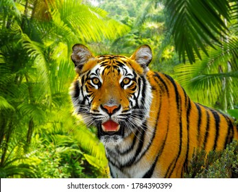 A Malaysian tiger in a rainforest under the sun, soft focus background