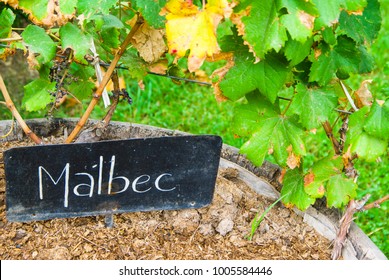 Malbec Wine Sign
