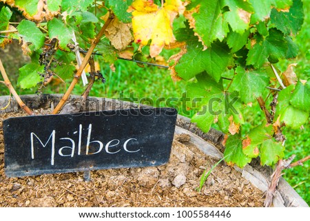 Malbec wine sign
