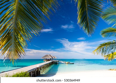 Maldives Beach With Beautiful Palm Trees On Tropical Scene. Luxury Summer Travel Destination Background Concept.