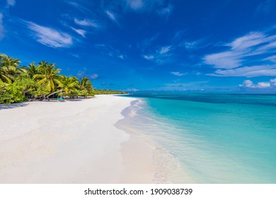 Maldives island beach. Tropical landscape of summer scenery, white sand with palm trees. Luxury travel vacation destination. Exotic beach landscape. Amazing nature, relax, freedom nature template