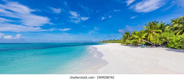 Maldives island beach. Tropical landscape of summer scenery, white sand with palm trees. Luxury travel vacation destination. Exotic beach landscape. Amazing nature, relax, freedom nature template