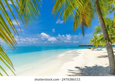 Maldives island beach. Tropical landscape of summer scenery, sunny sea sand sky with palm trees. Luxury travel vacation destination. Exotic beach landscape. Amazing nature, relax, freedom tourism - Powered by Shutterstock