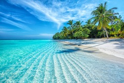 Maldiverna Ocean Tropical Beach