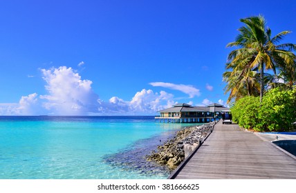 Maldives night - Powered by Shutterstock