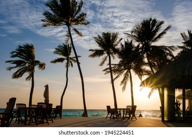 In the Maldives, the outdoor terrace of the island resort, there is a beautiful sunset with the silhouetted sea view of coconut trees