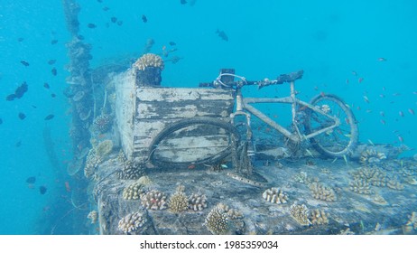 Maldivies. Under water. Shipwreck. No filters