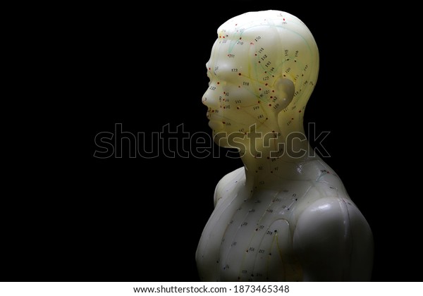male
acupuncture model against black
background