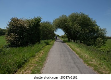 Male Adult Man Cycling Along The Tarka Trail On The South West Coast Path At Fremington Quay Between Barnstaple And Instow On The North Devon Coast, England, UK