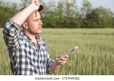 Male Agronomist In Cap Takes Notes In A Notebook On A Green Agricultural Field Of Wheat