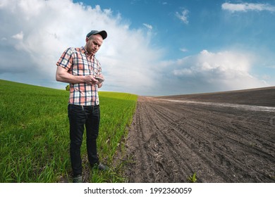 A male agronomist examines wheat crops in an agricultural field. A farmer in a wheat field makes notes in a notebook at sunset. Grain crop yield assessment	 - Powered by Shutterstock