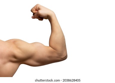 Male arm with large muscles close-up isolated on white background, rear view. - Powered by Shutterstock