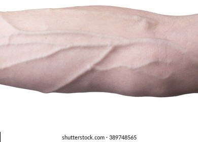 Male Arm With Veins