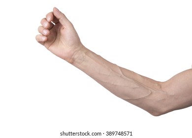 Male Arm With Veins