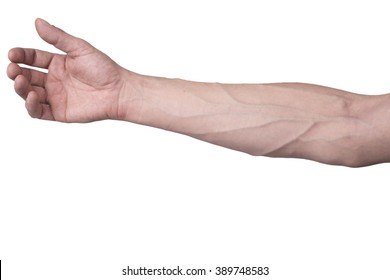 Male Arm With Veins