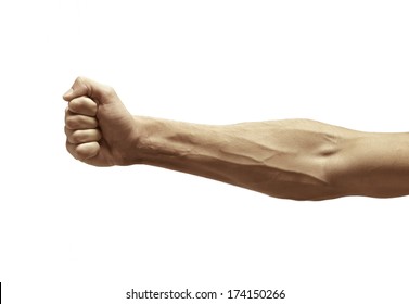 Male Arm With Visible Veins