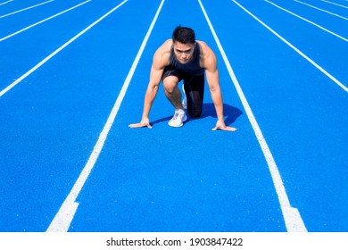 Male  Athlete On  Race Track Is Ready To Run