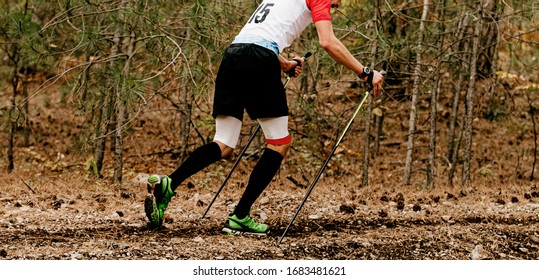 Male Athlete With Trekking Poles Walk Forest Trail In Skyrunning Marathon