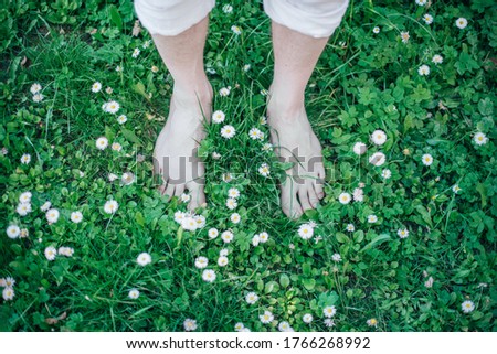 Similar – Image, Stock Photo Women’s feet barefoot with bow tie