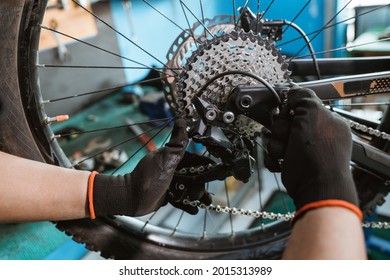 male bicycle mechanic's hand in gloves attaches chain over rear derailleur and sprocket in workshop