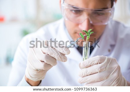 Male biochemist working in the lab on plants ストックフォト © 