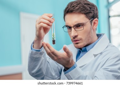 Male Biologist Working With Plant In Flask In Chemical Lab 