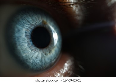 Male blue eye closup super macro background. Selection of glasses and contact lenses concept