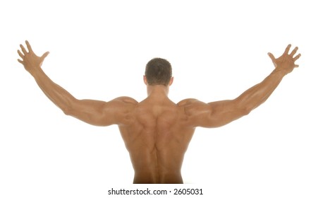 Male Body Builder Back