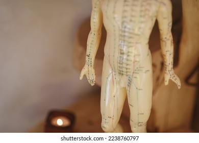 Male body part of a girl medicine meridian doll, conceptual, selective focus - Shutterstock ID 2238760797