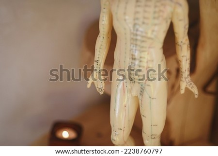 Male body part of a girl medicine meridian doll, conceptual, selective focus
