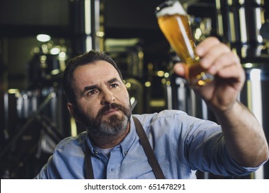 Male Brewery Worker Examining Small Glass Of Beer