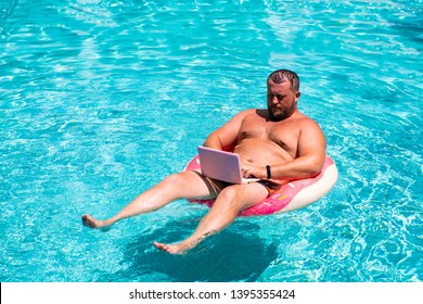 Male Businessman With An Inflatable Ring In The Water In The Pool. Funny Fat Man In Swimming Circle With Pink Laptop. Freelance Concept