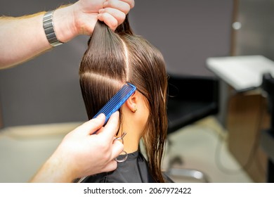 Male Coiffeur Divides Women Hair Into Sections With Comb And Hands In A Beauty Salon