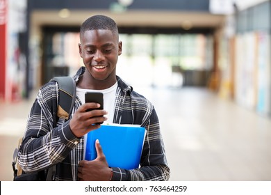 Male College Student Reading Text Message On Mobile Phone