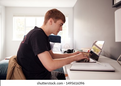 Male College Student In Shared House Bedroom Studying Sitting At Desk