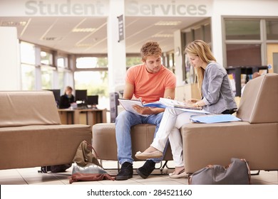 Male College Student Working With Mentor