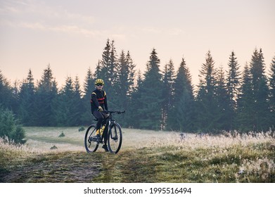 Male cyclist in cycling suit riding bike on mountain trail with coniferous trees on background. Man bicyclist wearing safety helmet and glasses while enjoying bicycle ride in mountains in the morning.