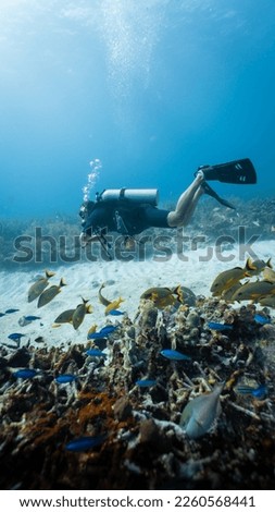 male diver posing among a school of yellow fish