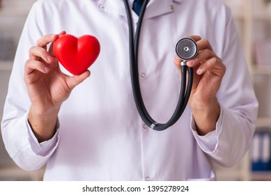 Male Doctor Cardiologist Holding Heart Model 